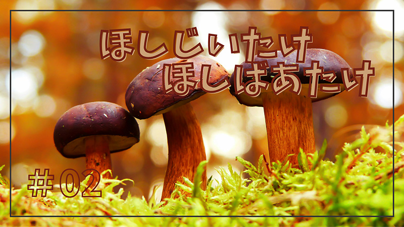 ほしじいたけほしばあたけ